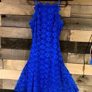 Cobalt, lace cocktail dress